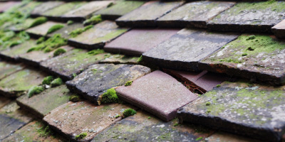Clipstone roof repair costs